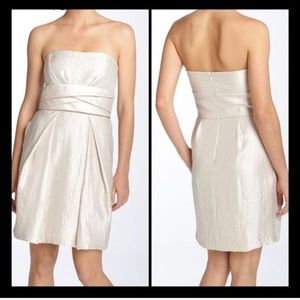 Beautiful Max and Cleo cocktail dress